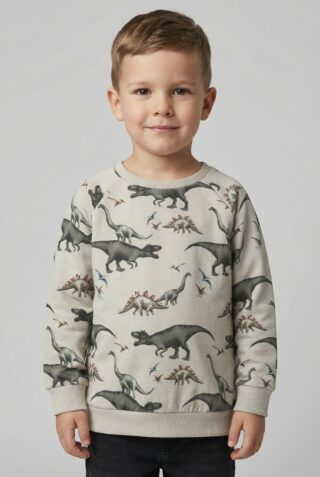 Name It Sweatshirt "NMMBERTIL LS NREG SWEAT BRU"