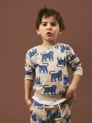 Name It Sweatshirt "NMMLARSON LS NREG SWE BRU", Baumwolle, regular fit