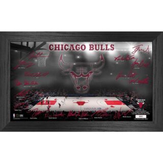NBA Chicago Bulls Signature Court Coin Bild
