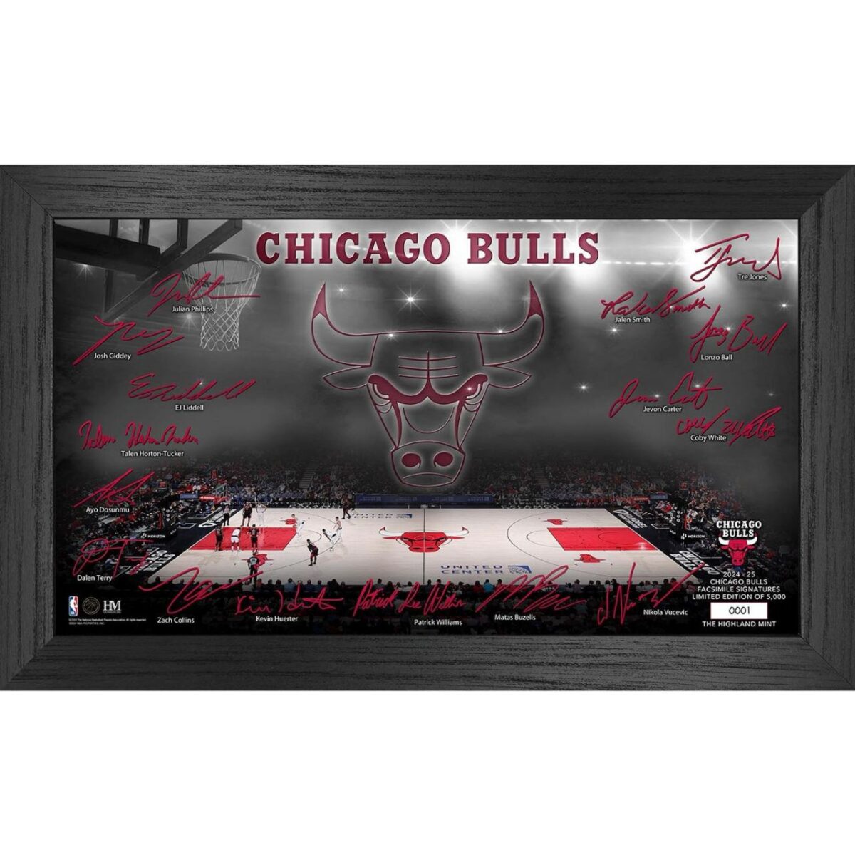 NBA Chicago Bulls Signature Court Coin Bild