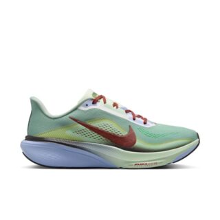 Nike Pegasus 42 SE Gr. 41 Grün Herren