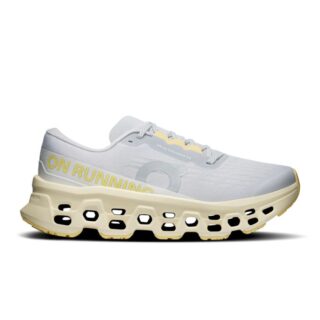 On Cloudmonster 3 Gr. 37 Grau Damen