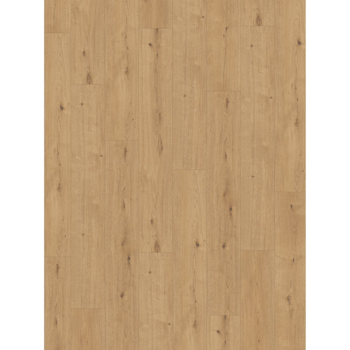 Parador Designboden 'Modular ONE' Eiche Atmosphere hellbraun 8 mm