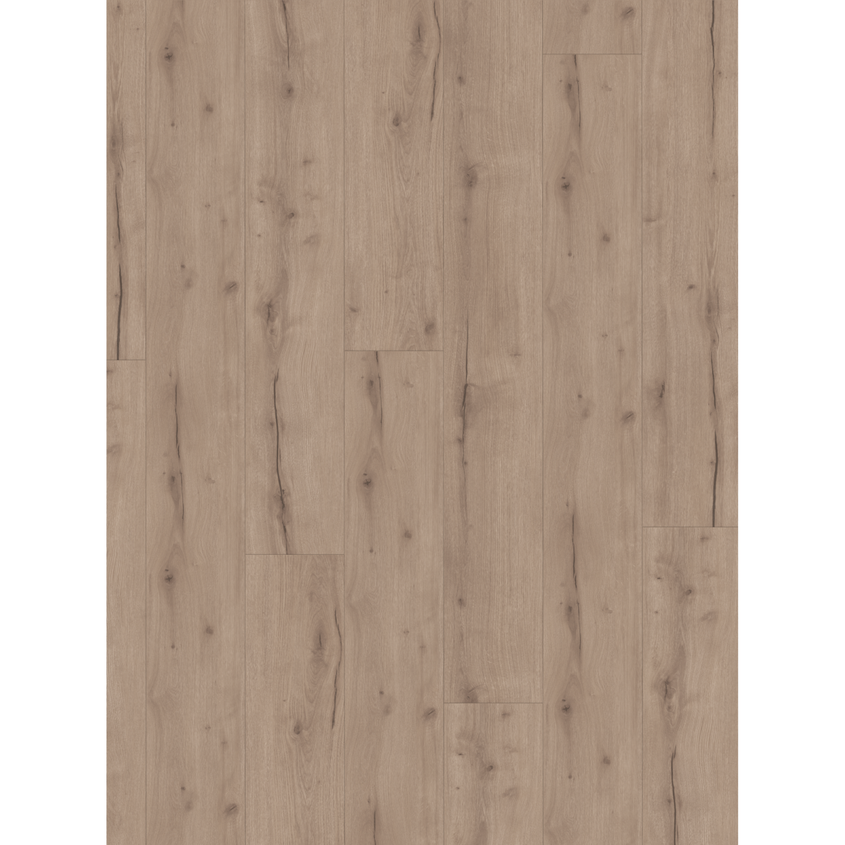 Parador Designboden 'Modular ONE' Eiche Helios grau 8 mm