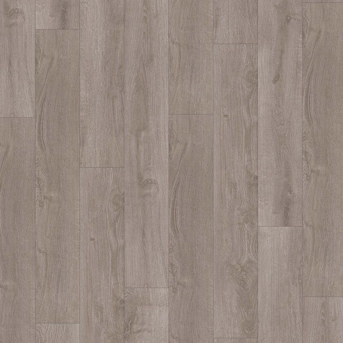 Parador Laminat 'Basic 200' Eiche Lichtgrau 7 mm