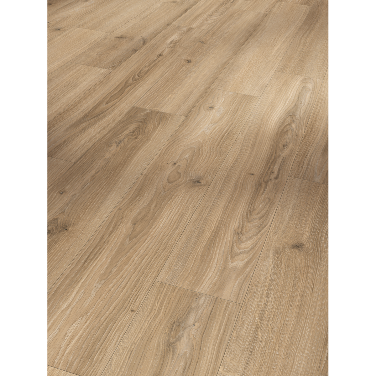 Parador Laminat 'Basic 400' Eiche Studioline matt beige 8 mm