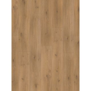Parador Laminat 'Basic 600' Eiche Horizont natur seidenmatt 8 mm