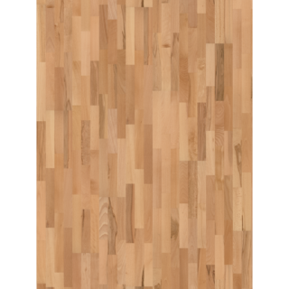 Parador Parkett 'Basic 11-5' Buche Rustikal lackversiegelt matt 11,5 mm