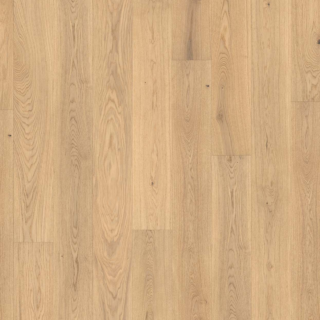 Parador Parkett 'Basic 11-5' Eiche pure matt braun 11,5 mm