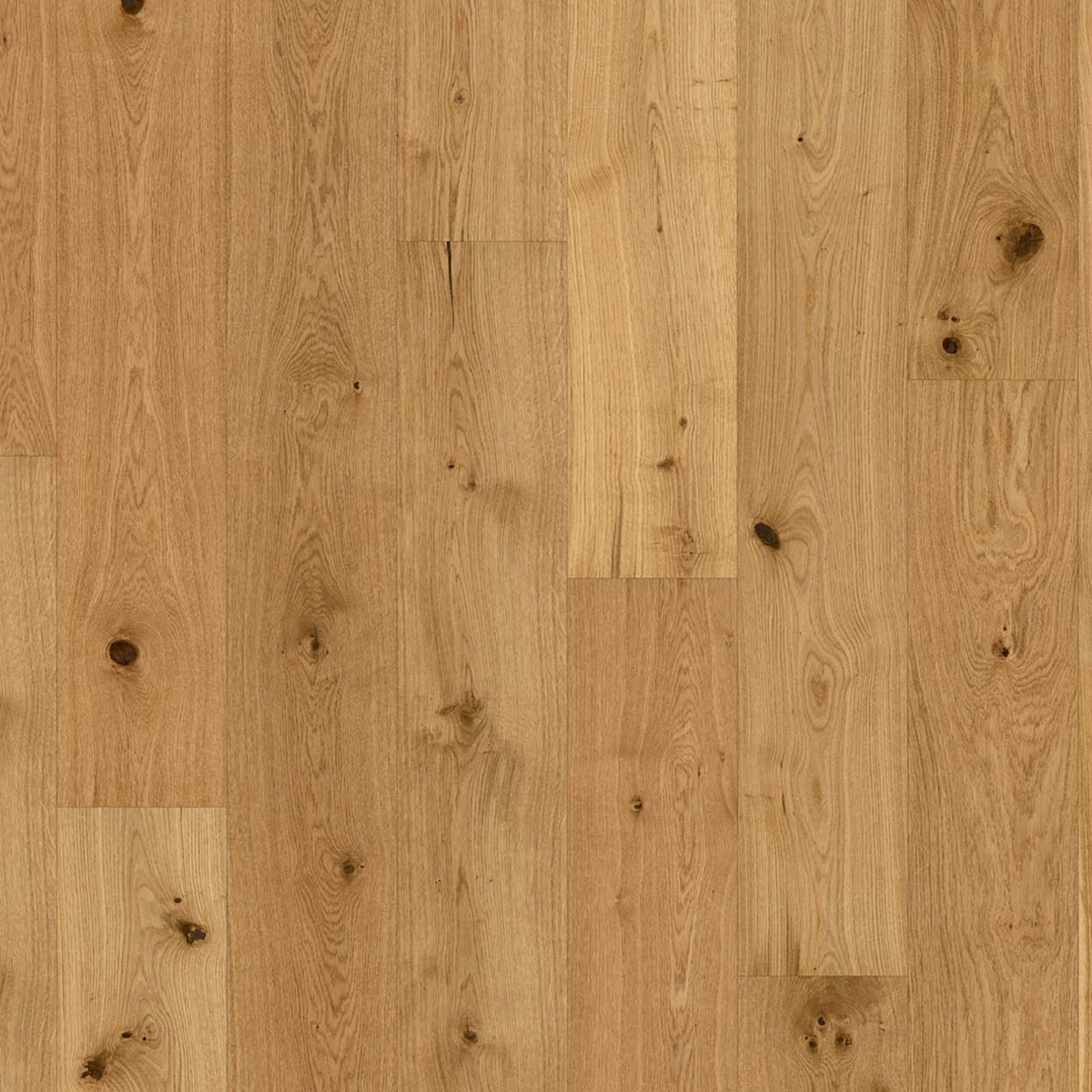 Parador Parkett 'Basic 11-5' Eiche Rustikal matt braun 11,5 mm