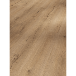 Parador Vinylboden 'Basic 5.3' Eiche Cambridge natur Natur hellbraun 5,3 mm