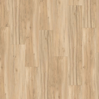 Parador Vinylboden 'Basic 5.3' Eiche Memory geschliffen hellbraun 5,3 mm