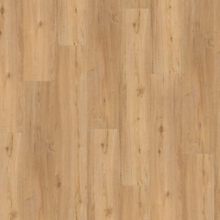 Parador Vinylboden 'Basic 5.3' Eiche Natur braun 5,3 mm