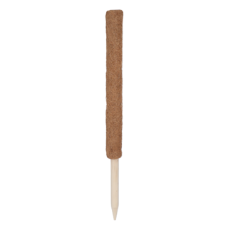 Rankstab Kokos 60 cm