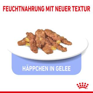 Royal Canin Indoor Sterilised 7+ in Gelee - 12 x 85 g