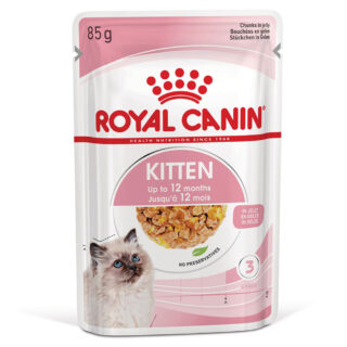 Royal Canin Kitten in Gelee - 12 x 85 g