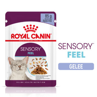 Royal Canin Sensory Feel in Gelee - 12 x 85 g