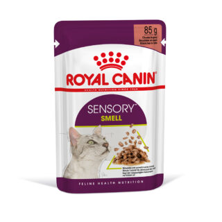 Royal Canin Sensory Smell in Soße - 12 x 85 g