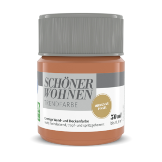 Schöner Wohnen Farbe Trendfarbe 'Arizona' orange matt 50 ml