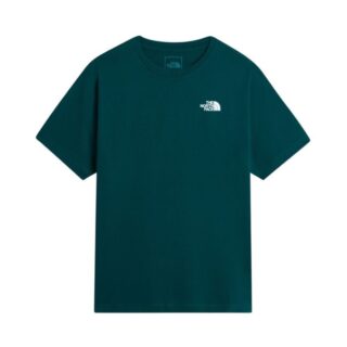 The North Face Evolution Box NSE Reg SS Tee Gr. L Grün Herren