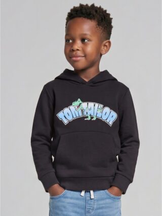 TOM TAILOR Sweatshirt, mit Kapuze und Kängurutasche