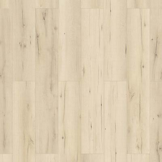 toom Vinylboden 'Premium-Vinyl' Polareiche hellbraun 3,8 mm