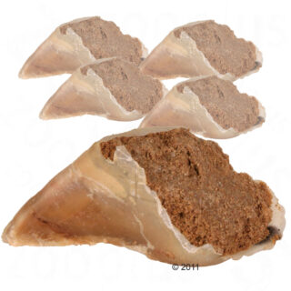 Trixie Kauhuf Fleischpastete - 5 x 115 g