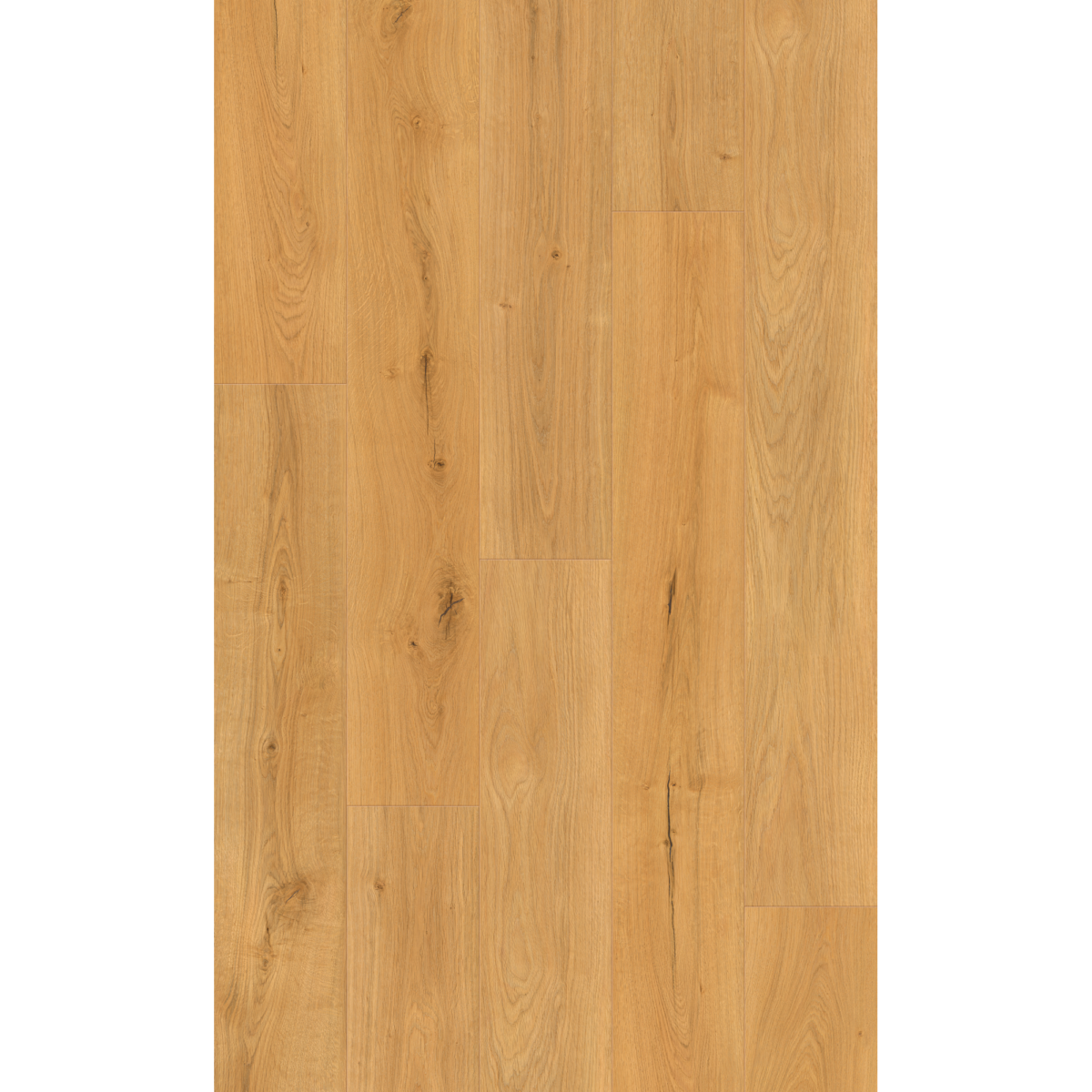 Vinylboden 'Eiche Oxford' eichefarben 3,5 mm