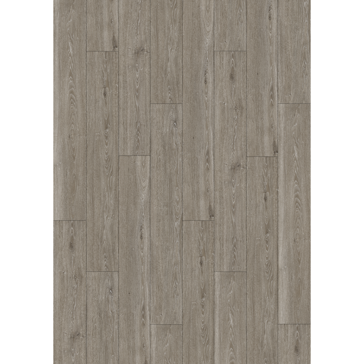 Vinylboden Eiche 'Verona' 3,5 mm