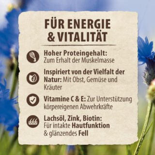 2,4 kg gratis! 14,4 kg Purizon Trockenfutter - getreidefrei - Lamm mit Huhn
