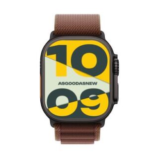 Apple Watch Ultra 4 GPS + Cellular 49mm Titan schwarz Alpine Loop burgunder M 64GB