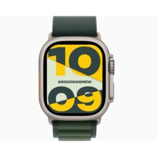 Apple Watch Ultra GPS + Cellular 49mm Titan natur Alpine Loop dunkelgrün M