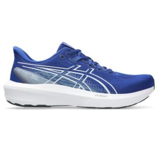 ASICS GT-1000 15 Gr. 42 Blau Herren