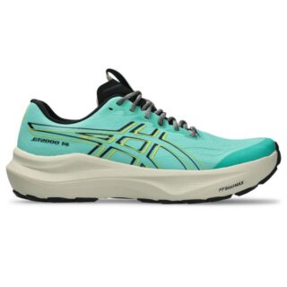 ASICS GT-2000 14 TR Gr. 42½ Grün Herren