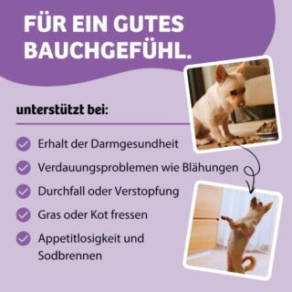BugBell Belly Vital Verdauung & Darmflora - Sparpaket: 12 x 800 g