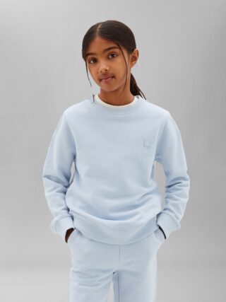 Calvin Klein Sweatshirt "MINI BADGE", Regular fit, Badge