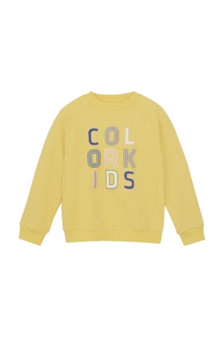 COLOR KIDS Sweater "Sweater COSweat W. JR. Logo Print"