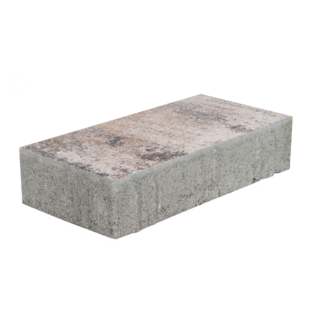 EHL Pflasterstein 'Veria' muschelkalk 20 x 30 x 8 cm
