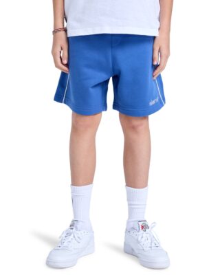 Element Shorts "Cornell 90s 15.7""