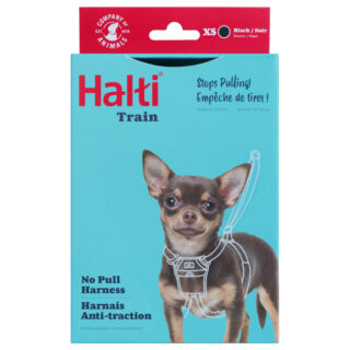 Halti Harness No Pull Trainingsgeschirr - orange: Größe M, z.B. Retriever, Border Collie