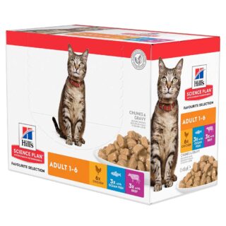 Hill's Science Plan Adult - Truthahn (12 x 85 g)