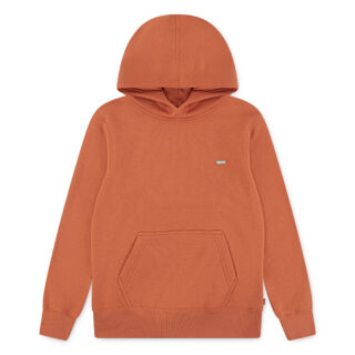 Levis Kids Hoodie "LVB MINI BATWING PULL OVER HOO", for BOYS