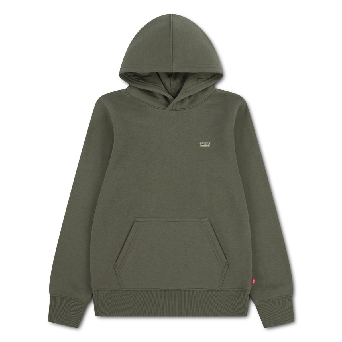 Levis Kids Hoodie "LVB MINI BATWING PULL OVER HOO", for BOYS
