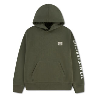 Levis Kids Hoodie "LVB SLEEVE HIT HOODIE", mit Markenschriftzug auf dem Ärmel - for Boys