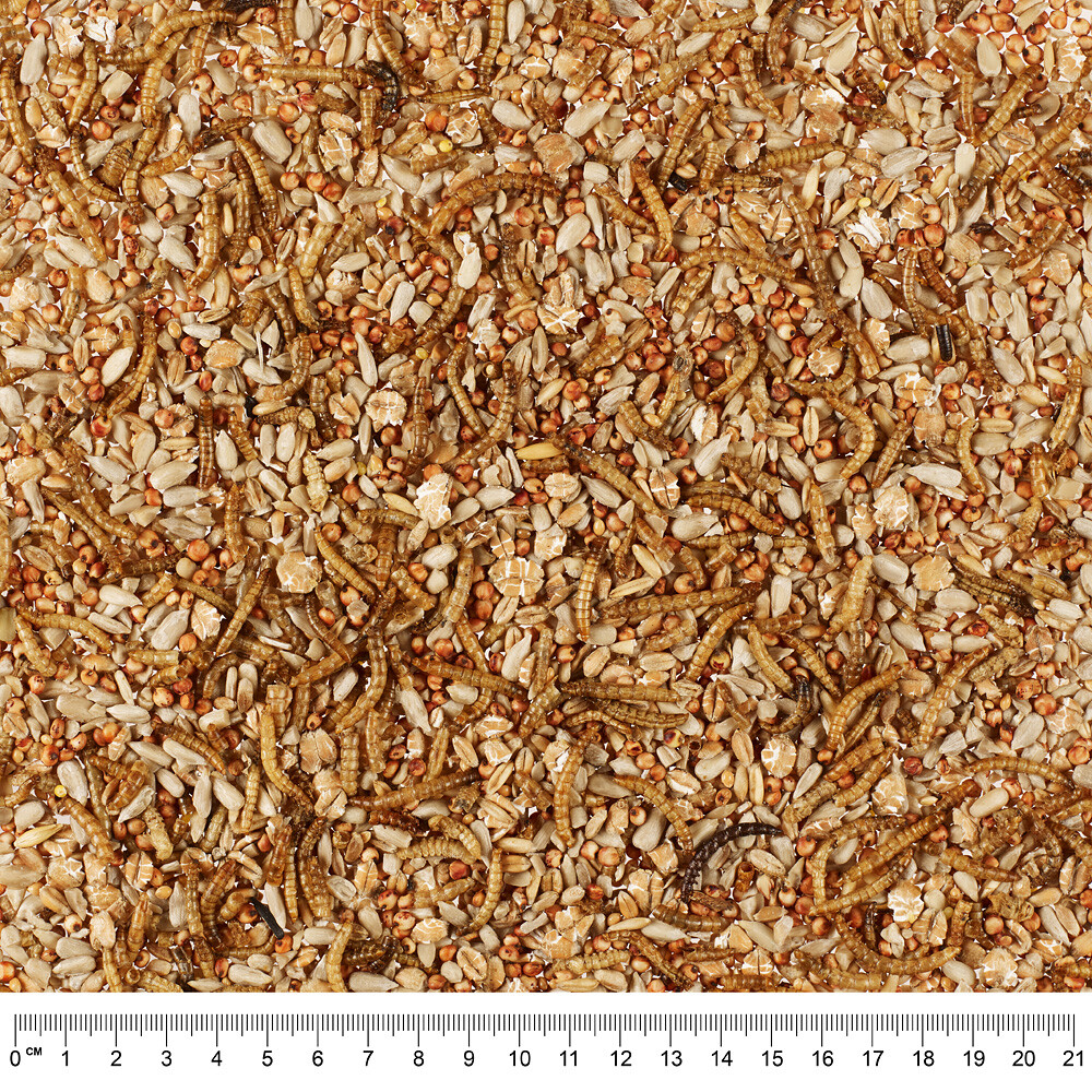 Lillebro Wildvogelfutter mit Mehlwürmern - 3 x 500 g