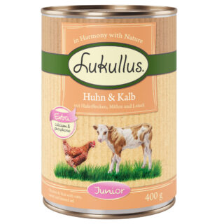 Lukullus Naturkost Junior 6 x 400 g Gemischtes Probierpaket