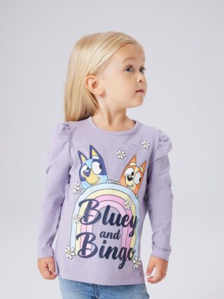 Name It Langarmshirt "NMFJESSIE BLUEY LS TOP BOX NOOS SKY"