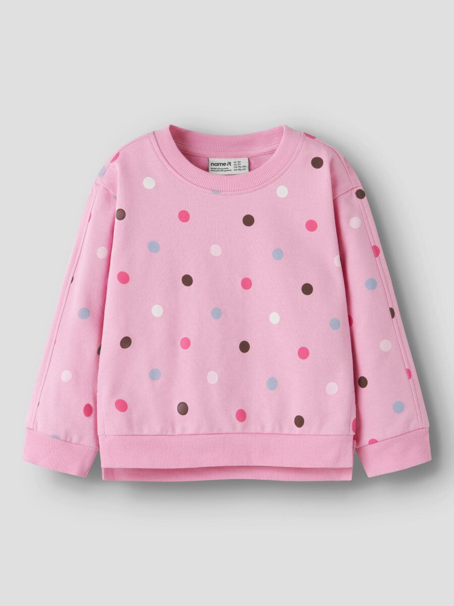 Name It Sweatshirt "NMFNISALA LS NREG SWEAT BRU PB", Baumwolle