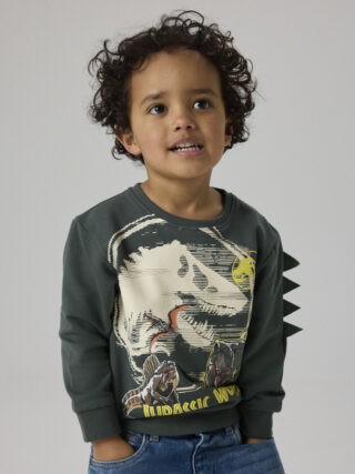 Name It Sweatshirt "NMMJAL JURASSIC NREG SWEAT BRU NOOS SKY", Baumwollmischung, regular fit, mit Jurassic World Print