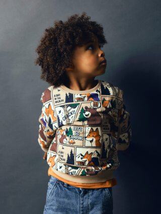 Name It Sweatshirt "NMMOSWALDY LS NREG SWEAT BRU BOX", Baumwollmischung, regular fit, Comic Print